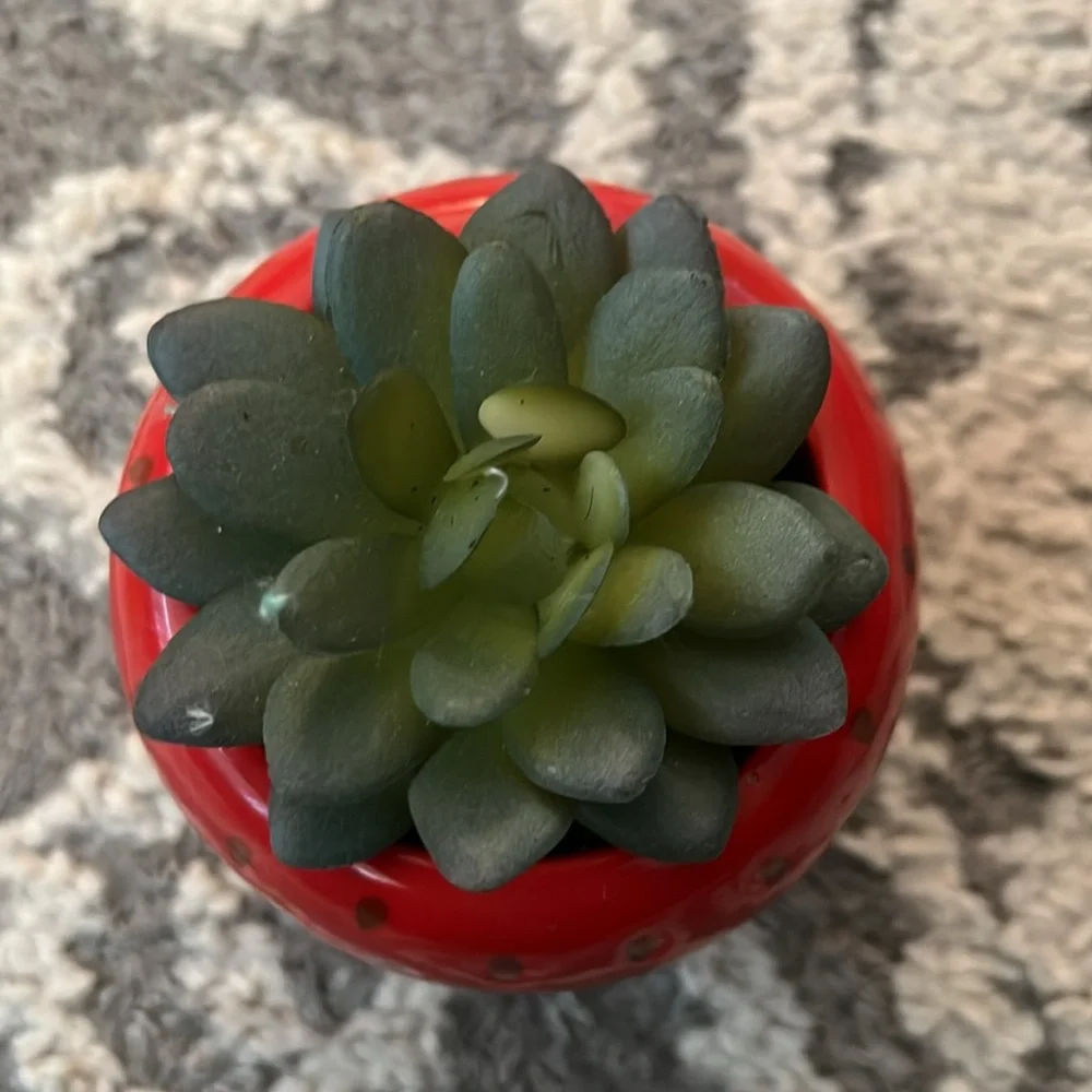 Target faux succulents, pineapple and strawberry, NWT!